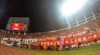 开云体育地址-场馆设施翻新完成比赛场地改造计划推进，场馆设计方案